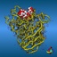Ribbon Models of Proteins