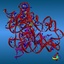 Ribbon Models of t-RNA