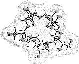 CG5 molecular surface