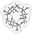 CG3 molecular surface