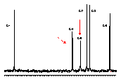 CA6 13C NMR (30°C)