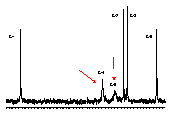 CA6 13C NMR (4°C)